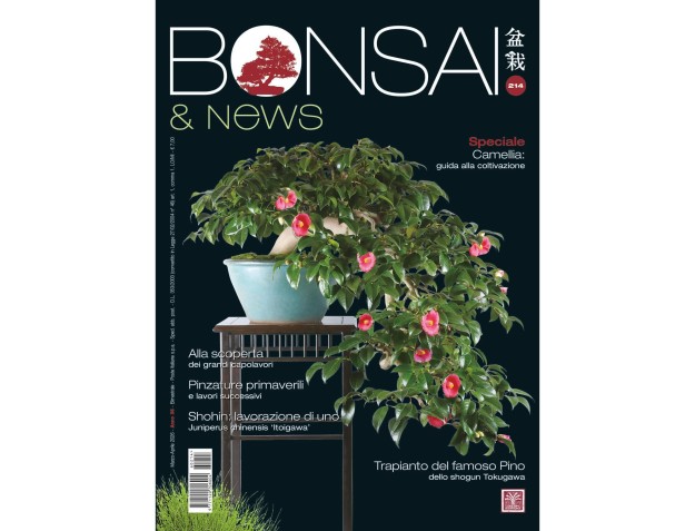 Bonsai & News | Crespi Bonsai Magazine : Culture et techniques du bonsaï