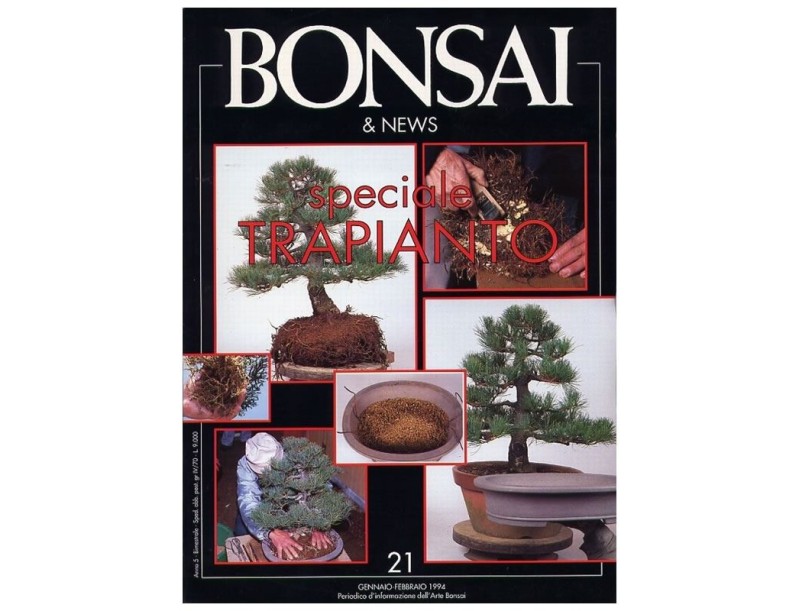 BONSAI & news n.  21 - Gennaio-Febbraio 1994