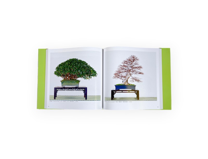 Catálogo Kokufu 94 (2020) - Bonsai Kokufu-ten Japón