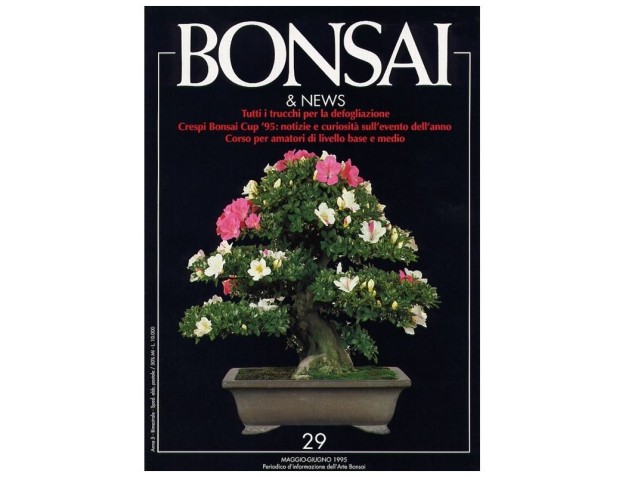 BONSAI & news n.  29 - Maggio-Giugno 1995