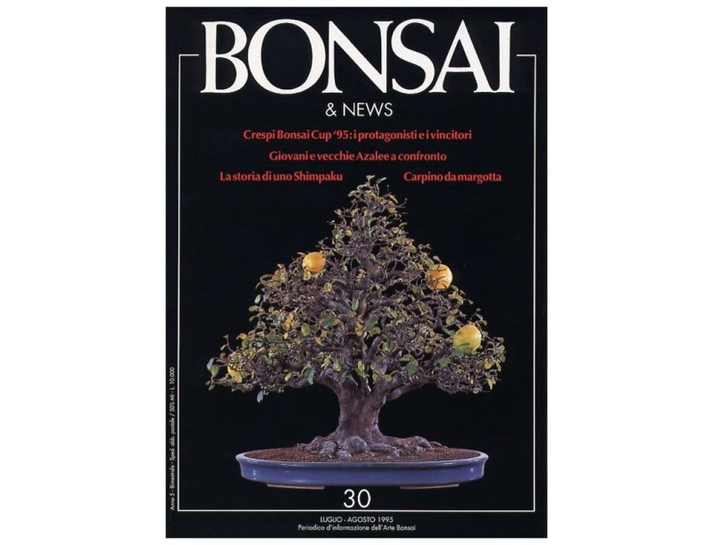 BONSAI & news n.  30 - Luglio-Agosto 1995