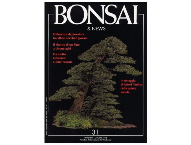 BONSAI & news n.  31 - Settembre-Ottobre 1995