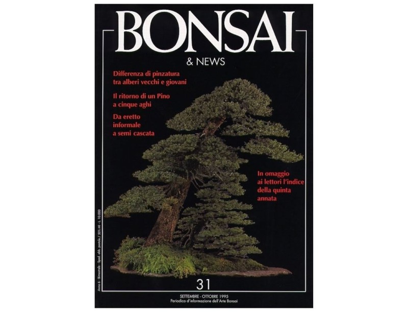 BONSAI & news n.  31 - Settembre-Ottobre 1995