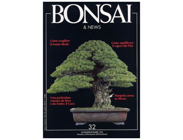 BONSAI & news n.  32 - Novembre-Dicembre 1995 2