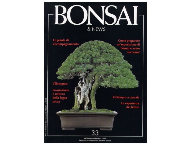 BONSAI & news n.  33 - Gennaio-Febbraio 1996