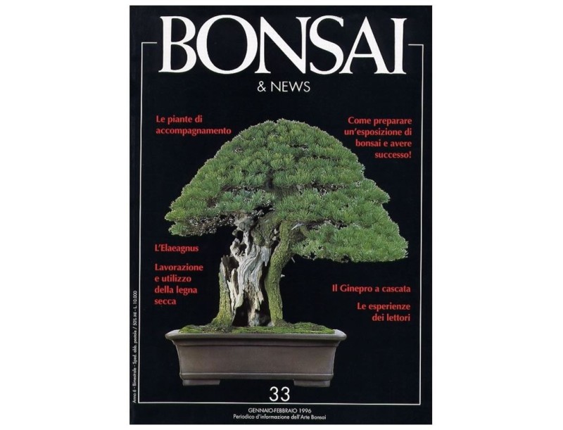 BONSAI & news n.  33 - Gennaio-Febbraio 1996
