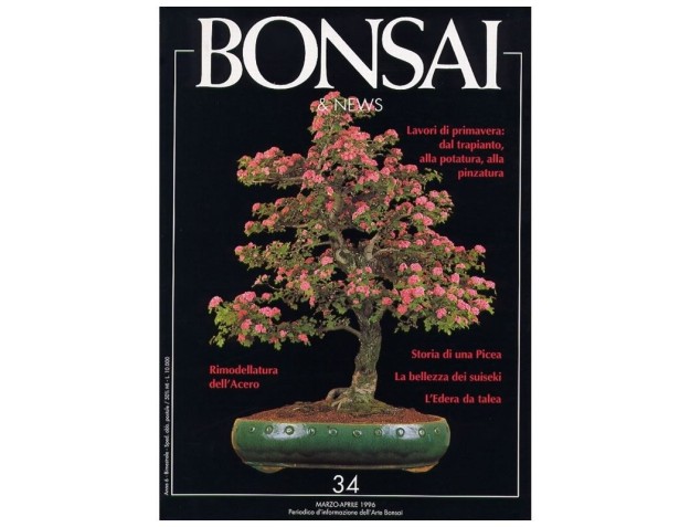 BONSAI & news n.  34 - Marzo-Aprile 1996