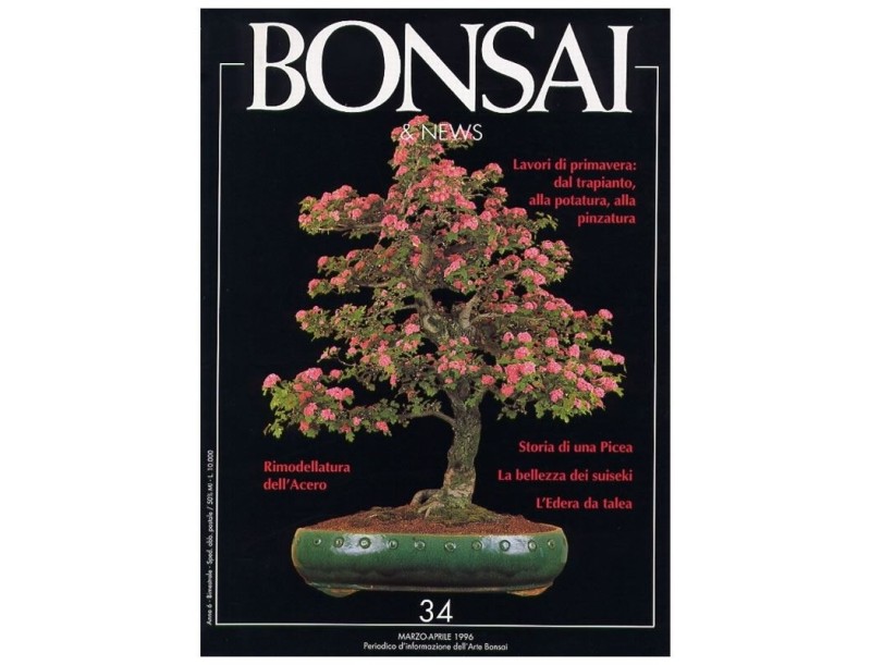 BONSAI & news n.  34 - Marzo-Aprile 1996
