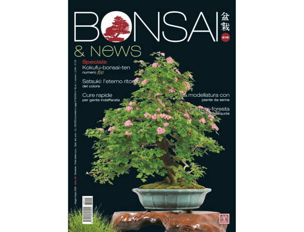 Bonsai & News | Crespi Bonsai Magazine: Cultura y Técnicas del Bonsai