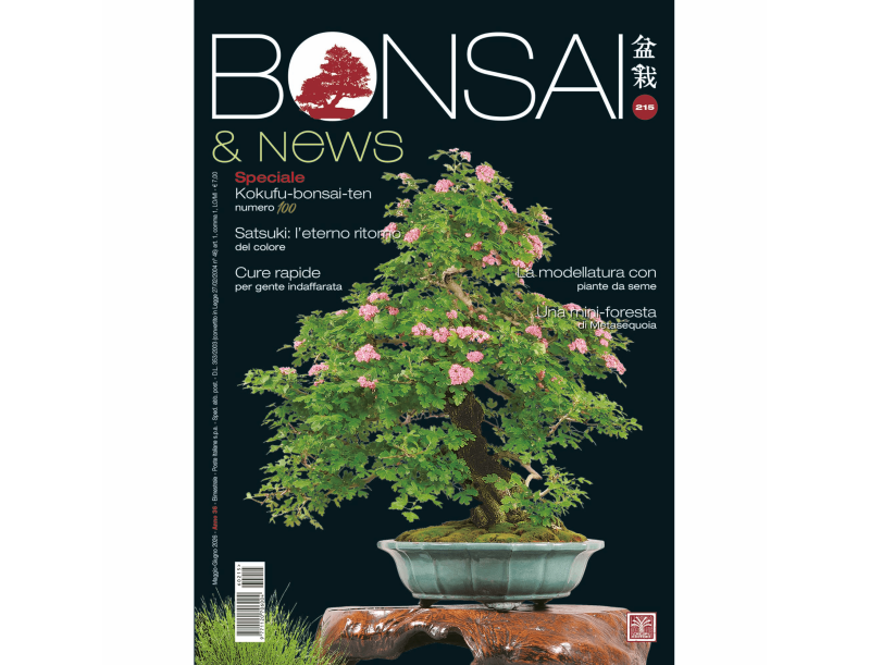 Bonsai & News | Crespi Bonsai Magazine: Bonsai Culture and Techniques