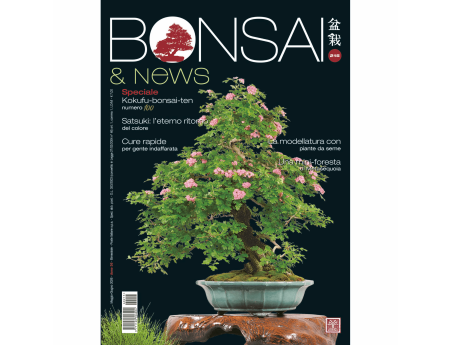 Bonsai & News | Crespi Bonsai Magazine: Bonsai Culture and Techniques