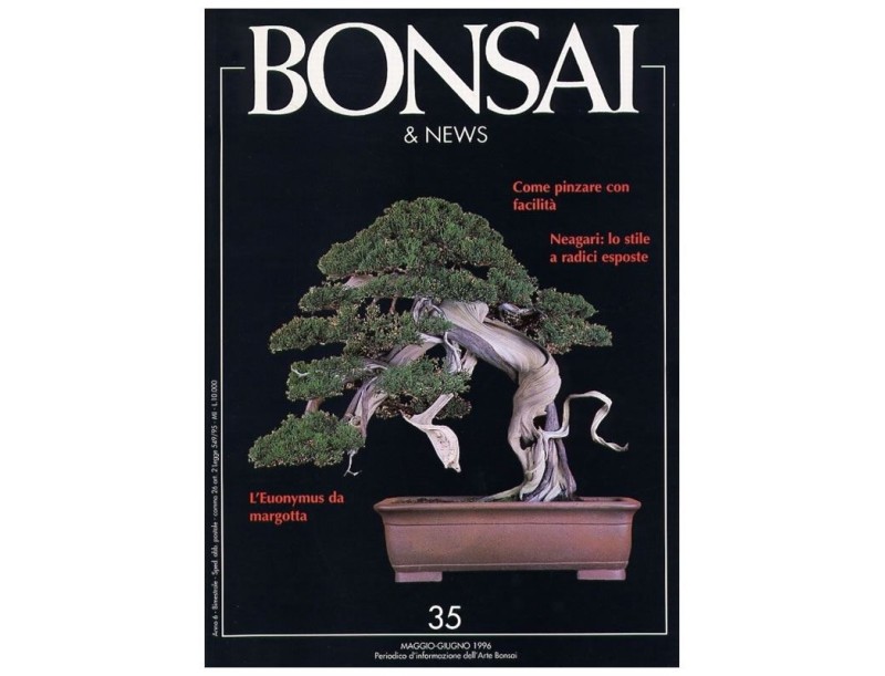 BONSAI & news n.  35 - Maggio-Giugno 1996