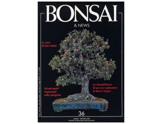 BONSAI & news n.  36 - Luglio-Agosto 1996