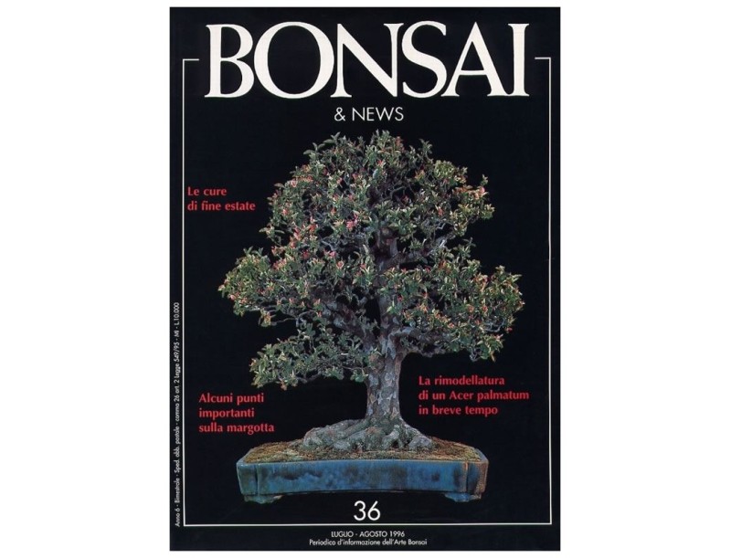 BONSAI & news n.  36 - Luglio-Agosto 1996