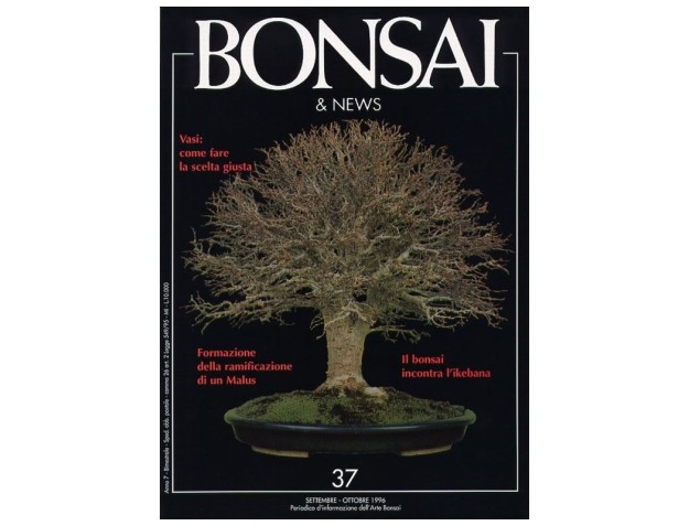 BONSAI & news n.  37 - Settembre-Ottobre 1996
