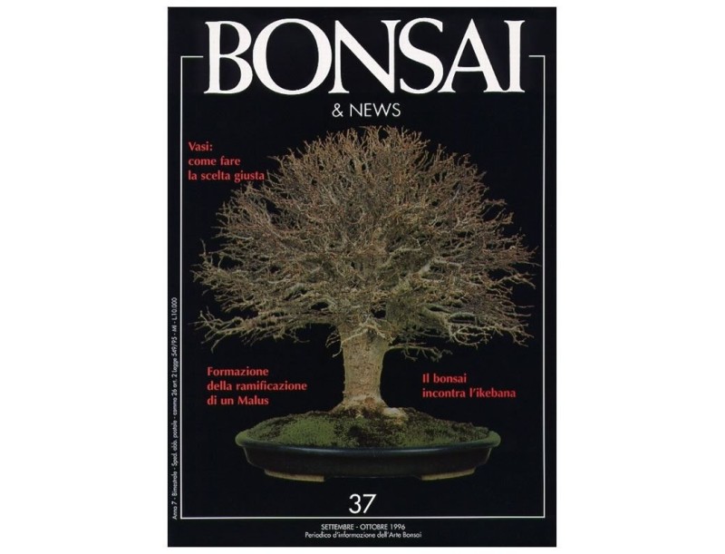 BONSAI & news n.  37 - Settembre-Ottobre 1996