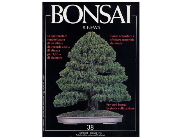 BONSAI & news n.  38 - Novembre-Dicembre 1996