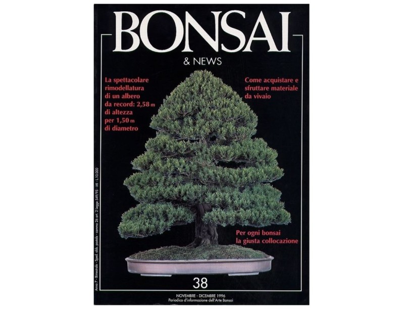 BONSAI & news n.  38 - Novembre-Dicembre 1996