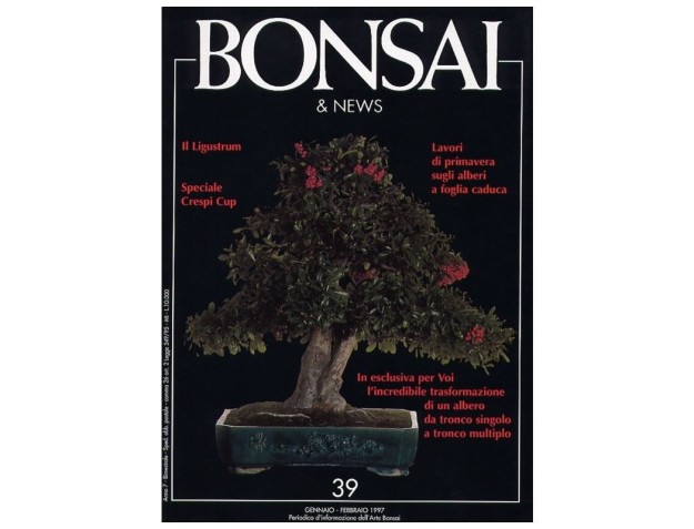 BONSAI & news n.  39 - Gennaio-Febbraio 1997