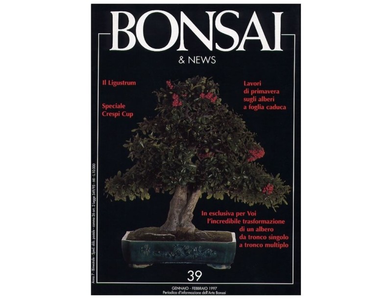 BONSAI & news n.  39 - Gennaio-Febbraio 1997