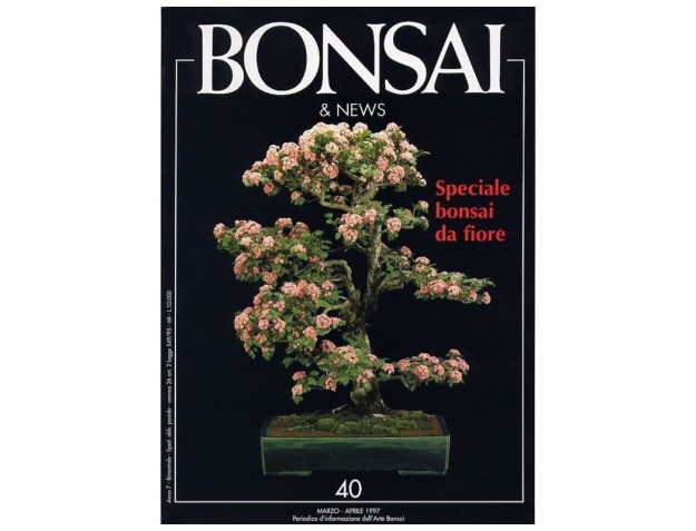 BONSAI & news n.  40 - Marzo-Aprile 1997