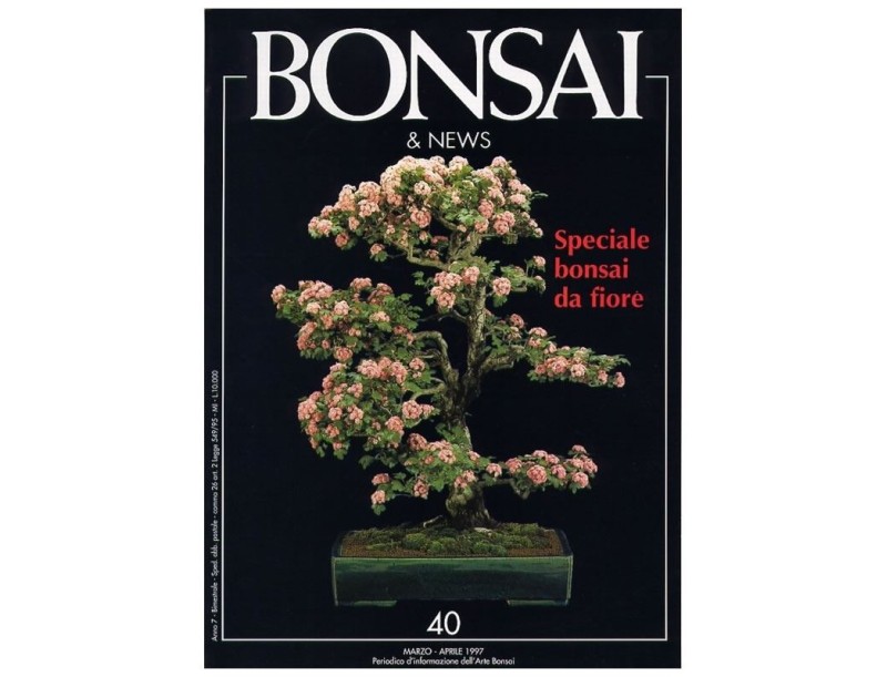 BONSAI & news n.  40 - Marzo-Aprile 1997