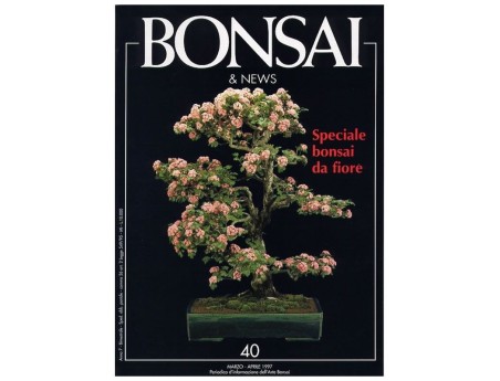 BONSAI & news n.  40 - Marzo-Aprile 1997