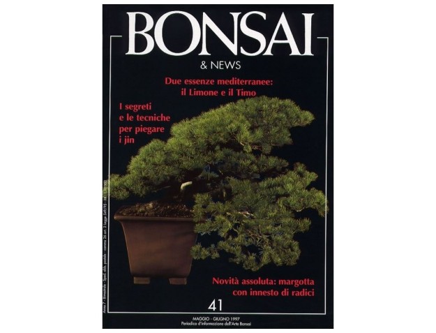 BONSAI & news n.  41 - Maggio-Giugno 1997