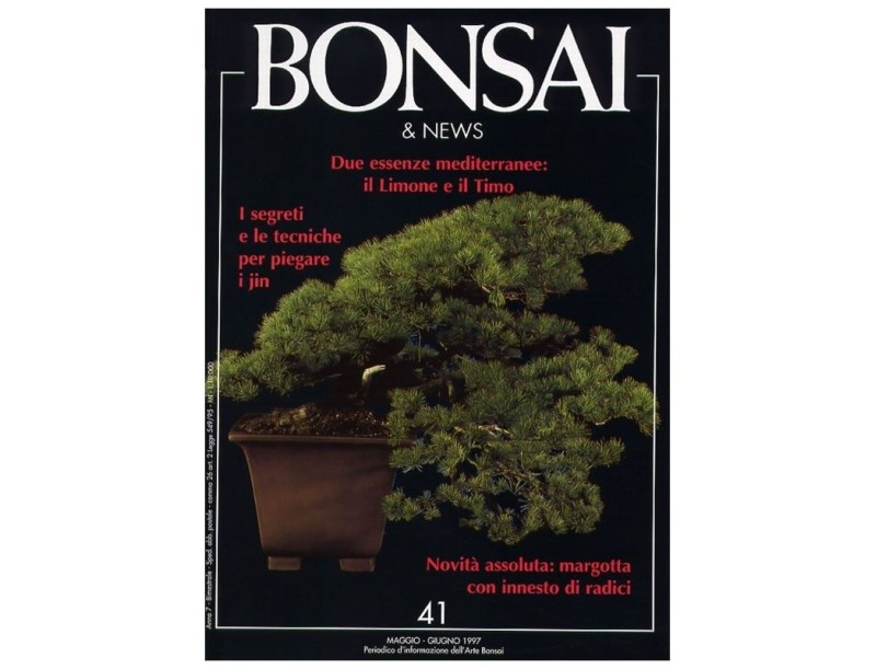 BONSAI & news n.  41 - Maggio-Giugno 1997