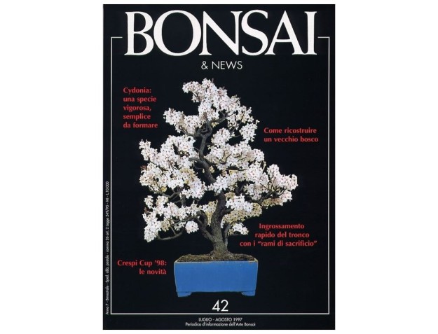 BONSAI & news n.  42 - Luglio-Agosto 1997