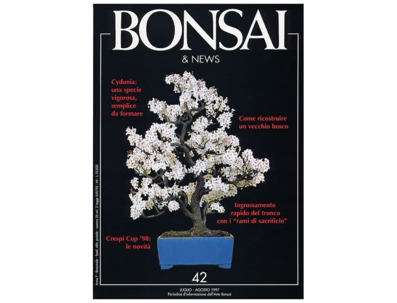 BONSAI & news n.  42 - Luglio-Agosto 1997