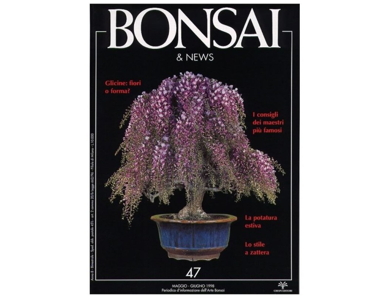 BONSAI & news n.  47 - Maggio-Giugno 1998