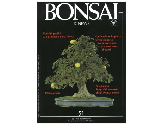 BONSAI & news n.  51 - Gennaio-Febbraio 1999
