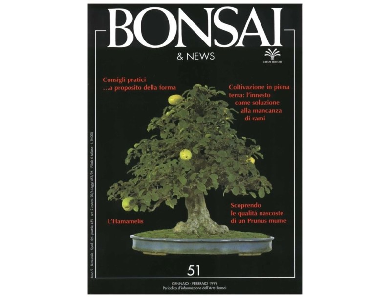 BONSAI & news n.  51 - Gennaio-Febbraio 1999