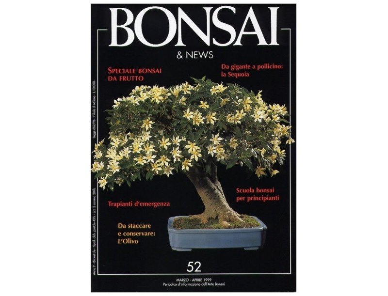 BONSAI & news n.  52 - Marzo-Aprile 1999