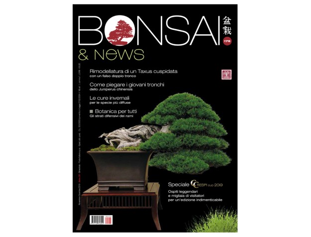 BONSAI & news 176 - Novembre-Dicembre 2019