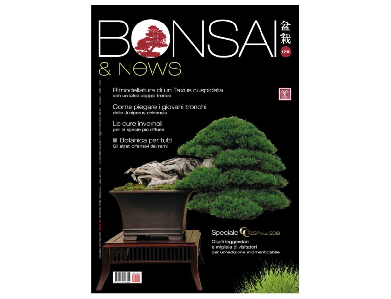 BONSAI & news 176 - Novembre-Dicembre 2019