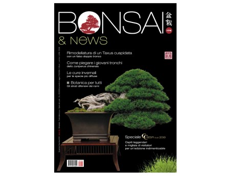 BONSAI & news 176 - November-December 2019