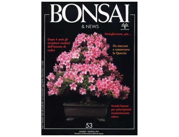 BONSAI & news n.  53 - Maggio-Giugno 1999