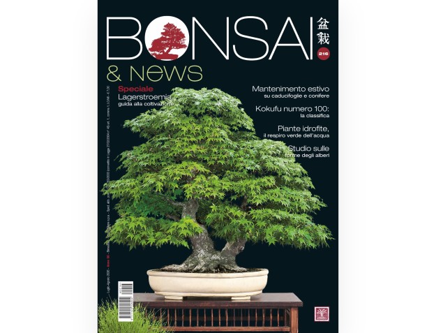 Bonsai & News | Crespi Bonsai Magazine: Bonsai Culture and Techniques