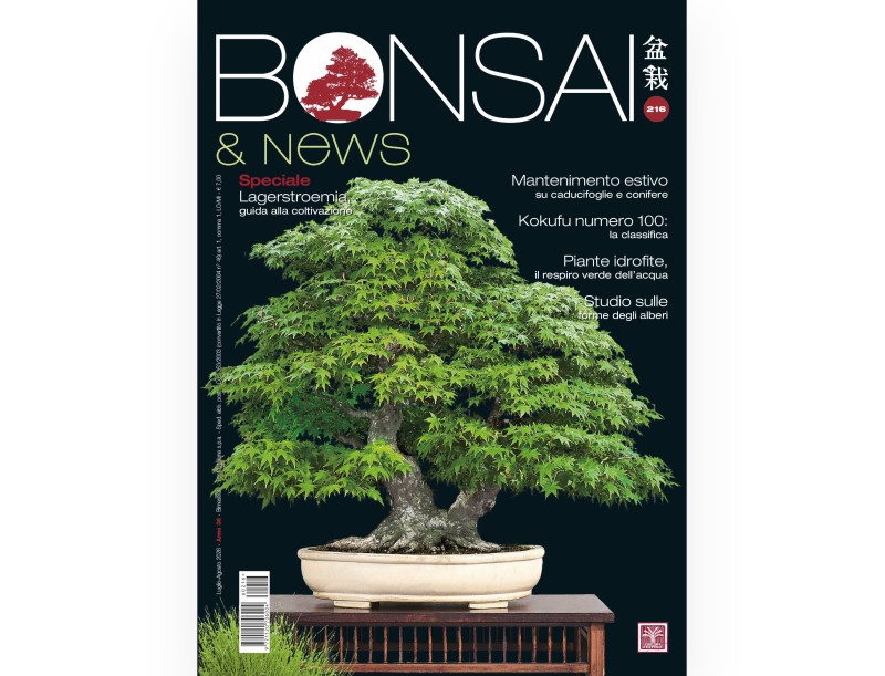 Bonsai & Nieuws | Tijdschrift Crespi Bonsai: Bonsai-cultuur en -technieken