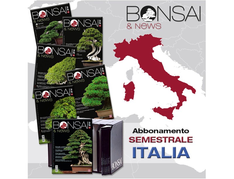 Halbjahresabonnement-BonsaiNews-Italien