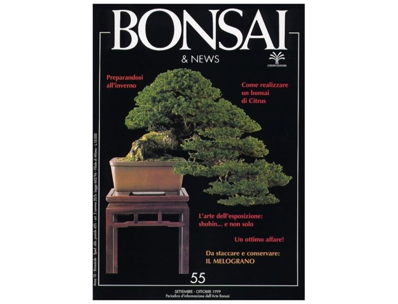 BONSAI & news n.  55 - Settembre-Ottobre 1999