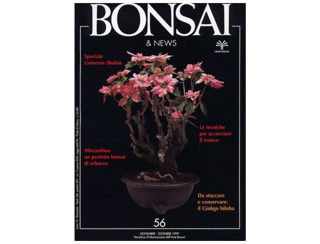 BONSAI & news n.  56 - Novembre-Dicembre 1999