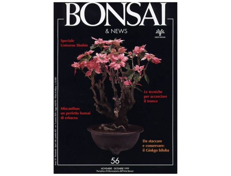 BONSAI & news n.  56 - Novembre-Dicembre 1999