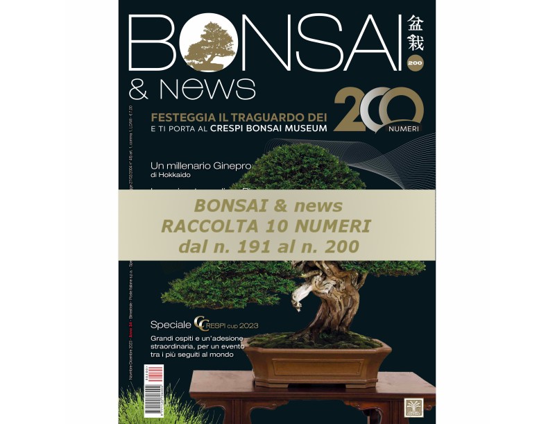 copy of Raccolta BONSAI & news dal 181 al 190
