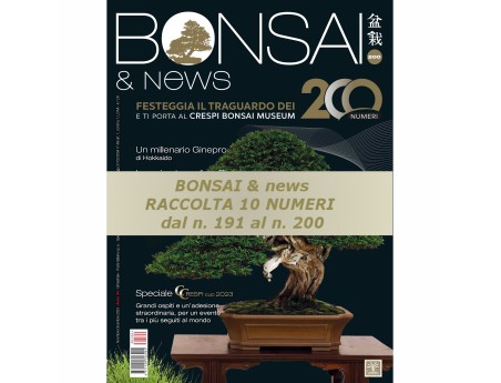 copy of Raccolta BONSAI & news dal 181 al 190