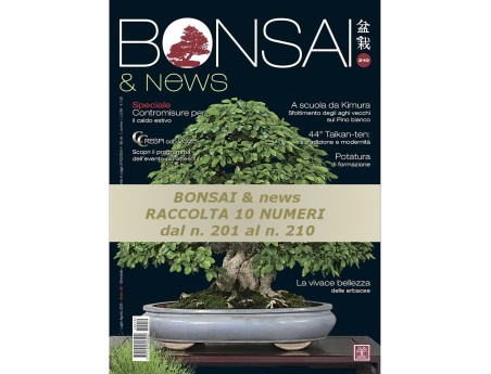 copy of BONSAI & news du 181 au 190