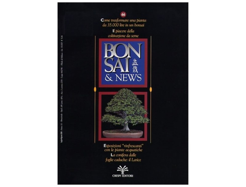 BONSAI & news n.  66 - Luglio-Agosto 2001