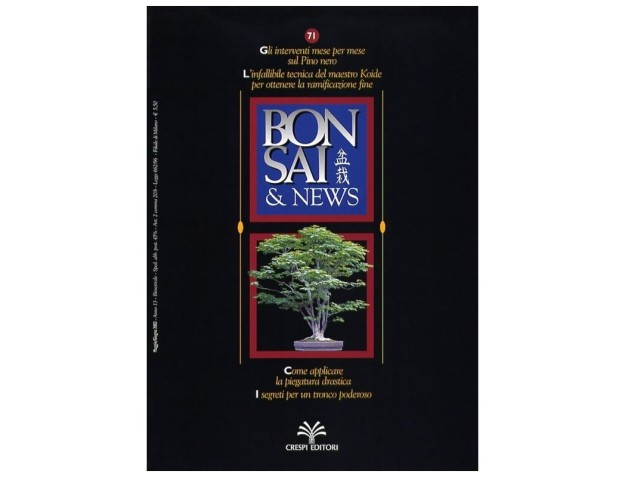 BONSAI & news n.  71 - Maggio-Giugno 2002